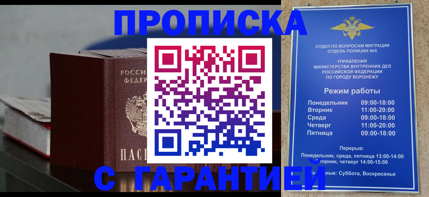 найти адрес прописки в Звенигово
