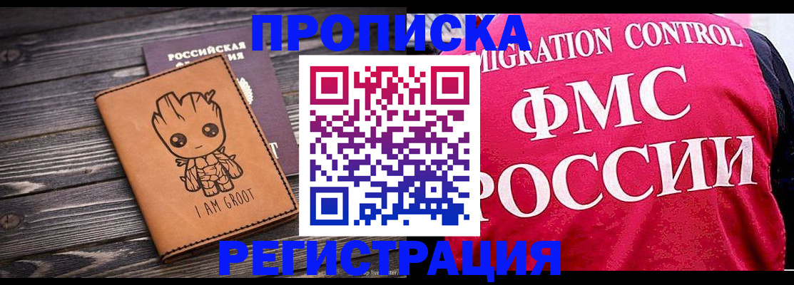 прописка 2025 в Звенигово